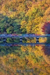 [포토] 함안 입곡군립공원, 가을 단풍 절경 속 숲길 산책 | 뉴스로