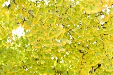 달성군-고령군, 인문학 기행 팸투어 진행 | 뉴스로