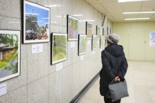 길음역 하늘갤러리에서 다시 만나는 성북의 매력 ‘사진 공모전 수상작 특별전’ | 뉴스로