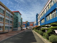 창도약진으로 도약하는 2025 영천 | 뉴스로