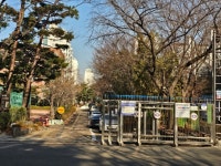 성남시, 수내중학교 주차장 15면 3월부터 시민 무료 개방 | 뉴스로