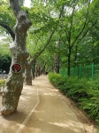 두류공원, 힐링·운동·산보·꽃구경까지 도심 속 최대 휴식처 | 뉴스로
