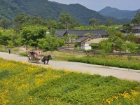 예천군 삼강문화단지, 새로운 힐링명소로 새단장! | 뉴스로