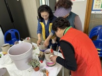 고성군, 반려식물과 함께하는 ‘행복한 동행’ | 뉴스로