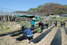 안동시청 직원봉사단, 산불피해 복구에 구슬땀 삼육대학교 학생들도 일직면 방문해 봉사활동 펼쳐 | 뉴스로