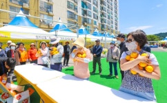 성주군, ‘참외라운지’운영으로 지역농산물 체험 강화! – 성주참외&생명문화축제 본격 준비 | 뉴스로