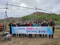 풍천면 직원들, 산불피해 지역 복구에 팔 걷어붙여 | 뉴스로