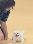 임실군, 반려견과 함께하는‘쓰담 힐링 클래스’눈길 | 뉴스로
