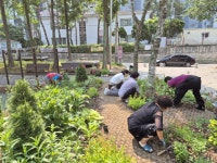 시흥시, 실버정원 가꾸기활동 프로그램 시작 | 뉴스로