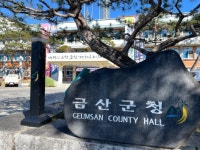금산군청 경제과 직원들, 금성면 화림리 농가 봄철 일손돕기 나서 | 뉴스로