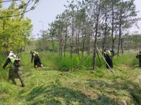 아산시, 교차로 녹지공간 환경정비로 ‘깨깔산멋’ 조성 | 뉴스로