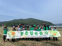 남원동 새마을남녀지도자회 양파뽑기 농촌일손돕기 실시 | 뉴스로