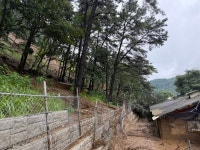 포천시 창수면 덕암농장, 로드리게스 사격장 도로공사 흙더미로 피해… 모돈 폐사 | 뉴스로