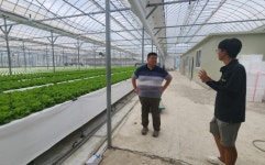 공주시, 고효율 양액냉각기 도입으로 여름철 쌈채소 안정 생산 | 뉴스로