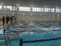 순천시, 제13회 전남 동부권 장애인수영대회 성황리 개최 | 뉴스로