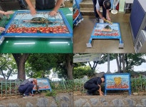 여수시 시전동, 청정전남 으뜸마을 만들기… 공원 벽화 조성 | 뉴스로