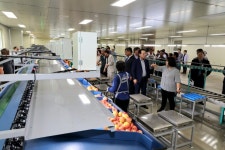 괴산군, 군자농협 사과선별장 개장…지역명품사과 경쟁력 확보에 나서 | 뉴스로