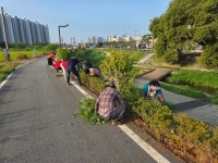 공도읍 주민자치위원회, 승두천 꽃길 가꾸기와 함께 안전·청렴 캠페인 전개 | 뉴스로