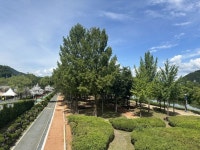 양구읍 레포츠공원 맨발 황톳길 임시 개장 | 뉴스로