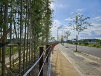 안성시, 도심 속 건강쉼터 ‘흙향기 맨발걷기길’ 조성완료 | 뉴스로