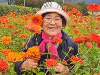대관령면 횡계1리 박영하, 제21회 성인 문해 학습자 백일장대회 최우수상 수상 | 뉴스로