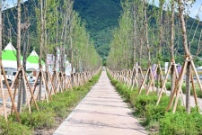 포천 한탄강 생태경관단지, ‘양버들 가로수길’ 조성 기념식 개최 | 뉴스로