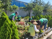 꽃으로 물든 구리시 교문1동, 주민과 함께한 가을꽃 식재 | 뉴스로