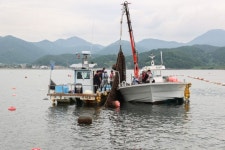 이상근 고성군수, 산소부족 물덩어리 발생에 따른 굴·가리비 피해 양식장 현장 방문 | 뉴스로