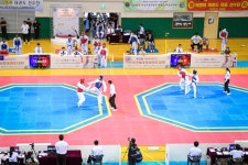 문경시, 제34회 국방부장관기 전국단체대항 태권도대회 열어 | 뉴스로