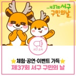 인천 서구, 구민의 날 즐길 거리 파헤치기! | 뉴스로
