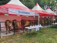 장수군, 제19회 장수한우랑사과랑 축제서 ‘장수한우 품평회’ 개최 | 뉴스로