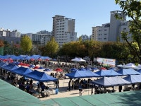 성남시 ‘제12회 단대동 논골축제’ 20일 열려 | 뉴스로