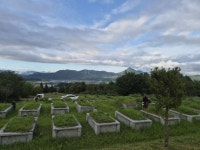가조면, 추석맞이 공설공원묘지 환경정비 구슬땀 | 뉴스로