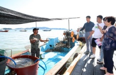 “노을빛 바다에서 추억을!” 태안군 ‘고남면 노을 미식페스타’ 성료 | 뉴스로