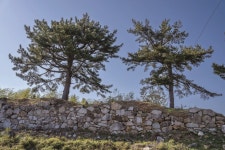 185년간 경상우도 수군절도사영이었던 거제 가배량진성 학술대회 개최 | 뉴스로