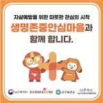 부산 서구, ‘생명존중안심마을’ 조성으로 주민 안전망 강화 | 뉴스로