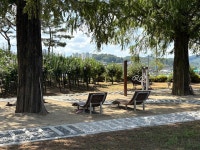 안동시, 숨겨진 공간 ‘홀론공원’을 시민 품으로 | 뉴스로