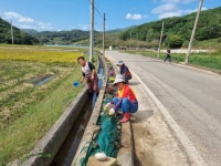 합천군 쌍책면 박곡마을, 폐비닐집하장 주변 공한지 국화 꽃길 조성 | 뉴스로