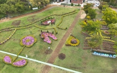 대전 중구, 가을 향기 가득한 서대전광장 꽃정원 조성 완료 | 뉴스로