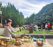 은목서 향기 담은 구례 천향백미(天香白味) 잔치 성황리에 마무리 | 뉴스로