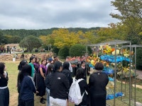 ‘제25회 국제꽃장식대회’ 성황리 종료 | 뉴스로