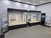 용인시박물관, ‘2025 기증 유물 특별전’ 개최 | 뉴스로