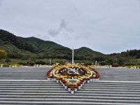 국화꽃 수놓은 가을, 거창사건추모공원에서 평화를 꽃피운다 | 뉴스로