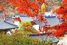 홍천강과 마을이 안내하는 느린 여행 | 뉴스로