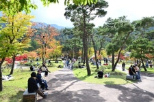 「2025 김천김밥축제」 대한민국 1등 축제가 보인다 | 뉴스로
