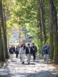 청주시, 옥화구곡 관광길 활성화 힐링투어 성료 | 뉴스로