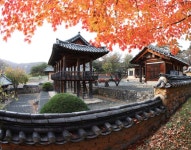 ‘우리가 사랑하는 안동’ 묵계1리에서 운영 | 뉴스로