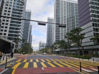 강동구, 교통약자 위한 보호구역 개선 사업 마무리 | 뉴스로