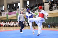 2025 의왕시체육회장배 겸 제32회 의왕시협회장배 생활체육 태권도대회 성황리 개최 | 뉴스로