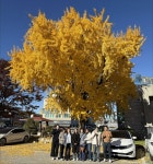 아산시 영인면, 소통데이 운영으로 직원 간 공감과 협력의 장 마련 | 뉴스로